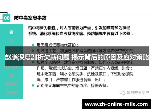 赵鹏深度剖析欠薪问题 揭示背后的原因及应对策略